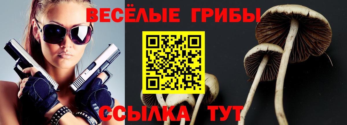 Тутаев  Псилоцибиновые грибы MAGIC MUSHROOMS  Вход с VPN 